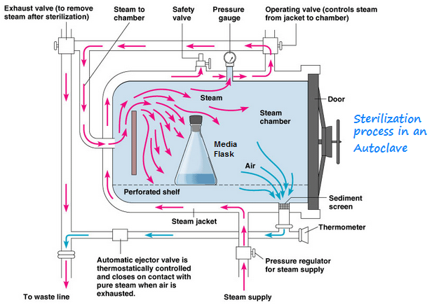 LES AUTOCLAVES CLASSE B : FONCTIONNEMENT, APPLICATIONS ET AVANTAGES 4 CYCLE COMPLET DE STÉRILISATION