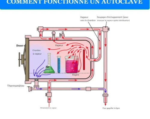 LIRE LA SUITE À PROPOS DE L’ARTICLE COMMENT SAVOIR QUE LE SYSTEME DE VIDE DE VOTRE AUTOCLAVE  EST DEFECTUEUX