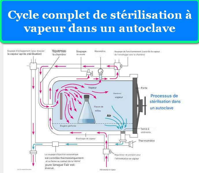 CYCLE COMPLET DE STÉRILISATION À VAPEUR DANS UN AUTOCLAVE