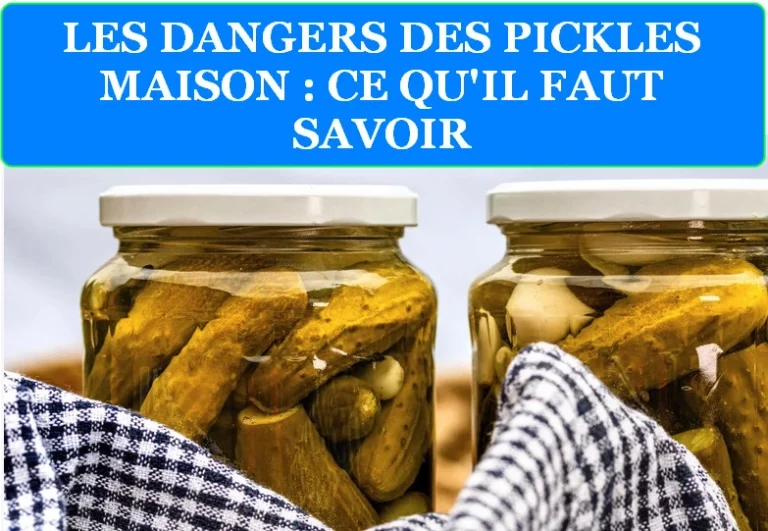LIRE LA SUITE À PROPOS DE L’ARTICLE LES DANGERS DES PICKLES MAISON : CE QU&RSQUO;IL FAUT SAVOIR