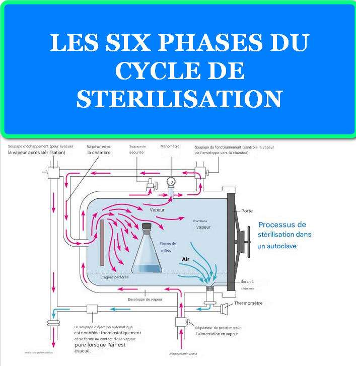 LES AUTOCLAVES VERTICAUX : FONCTIONNEMENT, APPLICATIONS ET AVANTAGES 2 LES SIX PHASES DU CYCLE DE STERILISATION