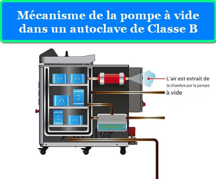 MÉCANISME DE LA POMPE À VIDE DANS UN AUTOCLAVE DE CLASSE B