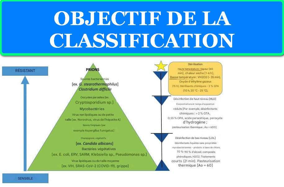 LA CLASSIFICATION DE SPAULDING : UN PILIER DE LA STERILISATION EN MILIEU MEDICAL 2 OBJECTIF DE LA CLASSIFICATION