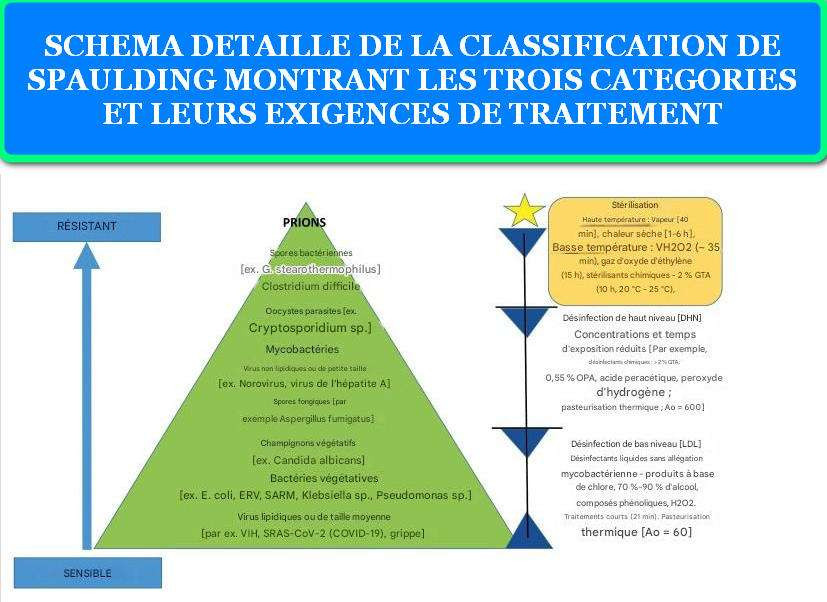 SCHEMA DETAILLE DE LA CLASSIFICATION DE SPAULDING MONTRANT LES TROIS CATEGORIES ET LEURS EXIGENCES DE TRAITEMENT