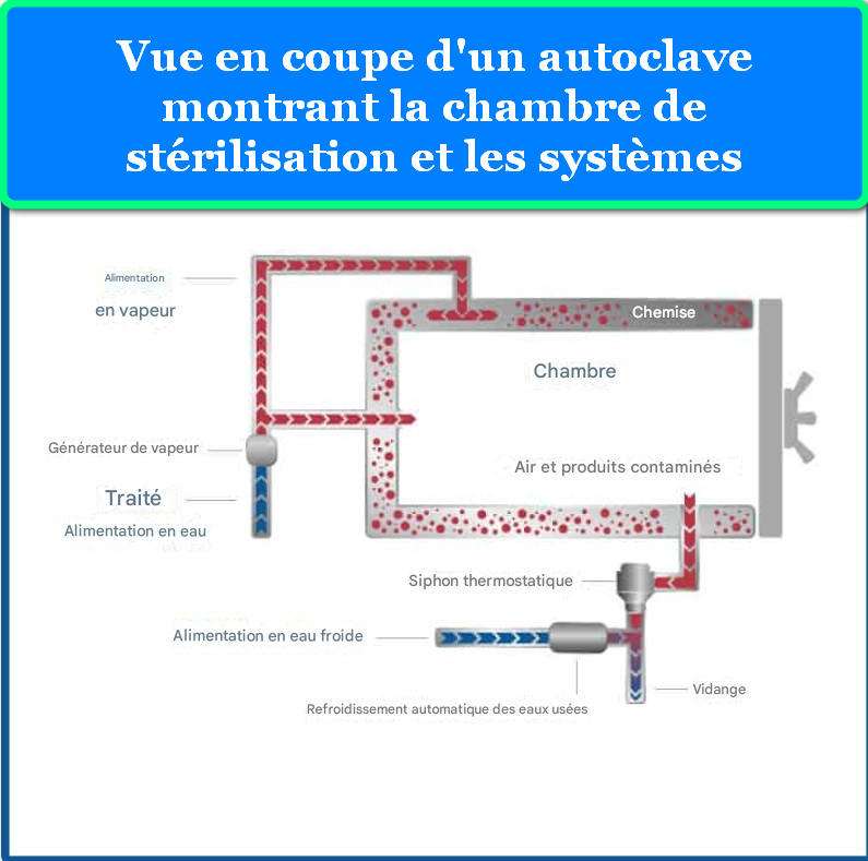 VUE EN COUPE D'UN AUTOCLAVE MONTRANT LA CHAMBRE DE STÉRILISATION ET LES SYSTÈMES