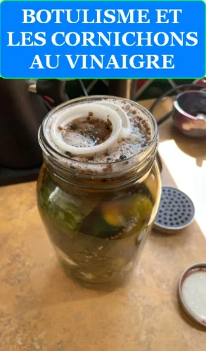 LE BOTULISME ET LES CORNICHONS AU VINAIGRE : RISQUES, PREVENTION ET BONNES PRATIQUES 6 LIRE LA SUITE À PROPOS DE L’ARTICLE LE BOTULISME ET LES CORNICHONS AU VINAIGRE : RISQUES, PREVENTION ET BONNES PRATIQUES