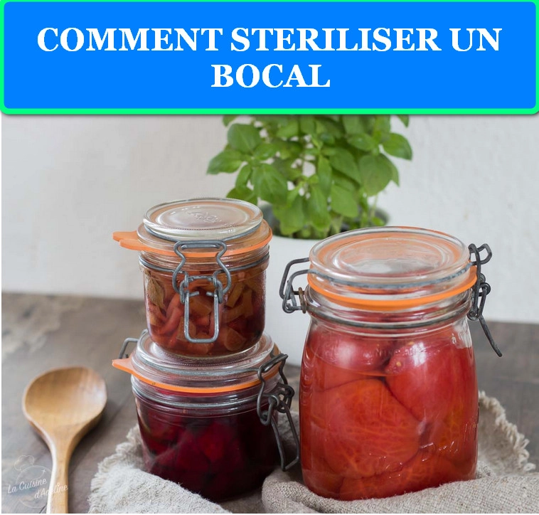 COMMENT STERILISER UN BOCAL