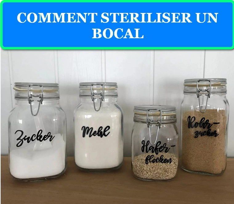 COMMENT STERILISER UN BOCAL