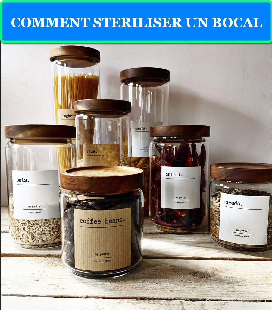 COMMENT STERILISER UN BOCAL
