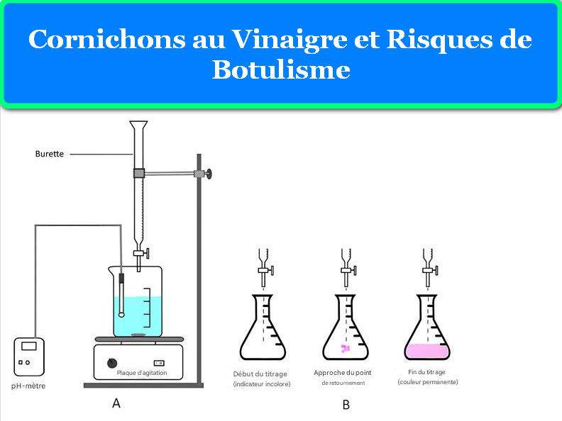 LE BOTULISME ET LES CORNICHONS AU VINAIGRE : RISQUES, PREVENTION ET BONNES PRATIQUES 3 CORNICHONS AU VINAIGRE ET RISQUES DE BOTULISME