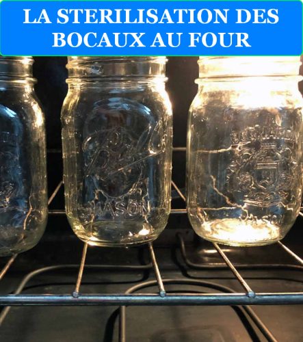 LIRE LA SUITE À PROPOS DE L’ARTICLE LA STERILISATION DES BOCAUX AU FOUR