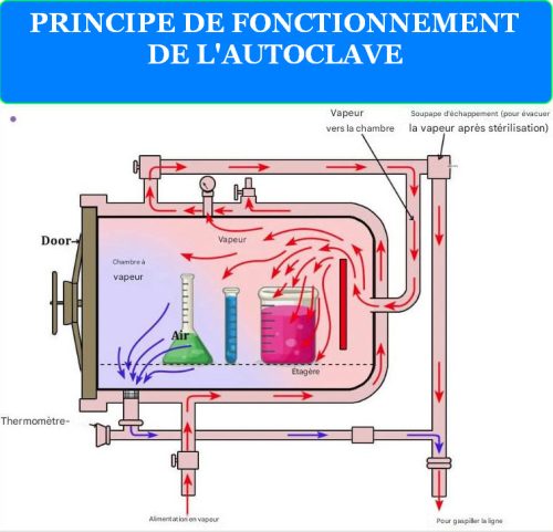 LIRE LA SUITE À PROPOS DE L’ARTICLE LE PRINCIPE DE FONCTIONNEMENT DE L&RSQUO;AUTOCLAVE : UN GUIDE COMPLET