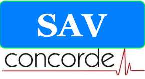 SAV CONCORDEIMPORT EXPORT