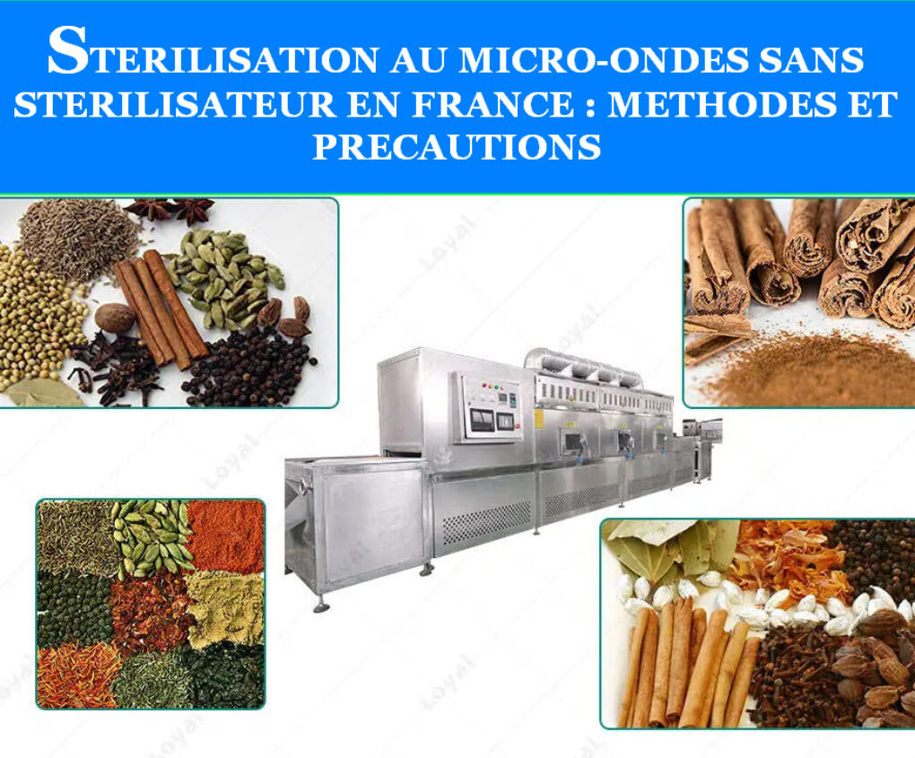 STERILISATION AU MICRO-ONDES SANS STERILISATEUR EN FRANCE : METHODES ET PRECAUTIONS