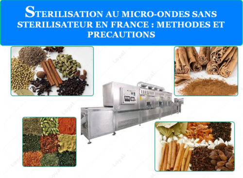STERILISATION AU MICRO-ONDES SANS STERILISATEUR EN FRANCE : METHODES ET PRECAUTIONS