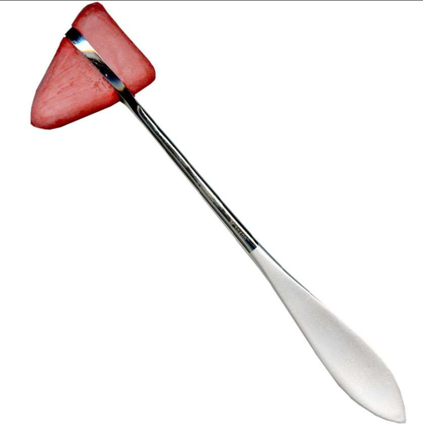 MARTEAU A REFLEXES TAYLOR REFERENCE 307