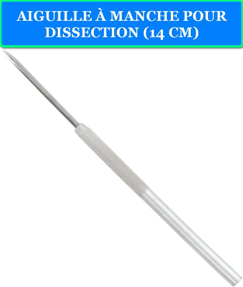 AIGUILLE À MANCHE POUR DISSECTION (14 CM) 2 AIGUILLE À MANCHE POUR DISSECTION (14 CM)