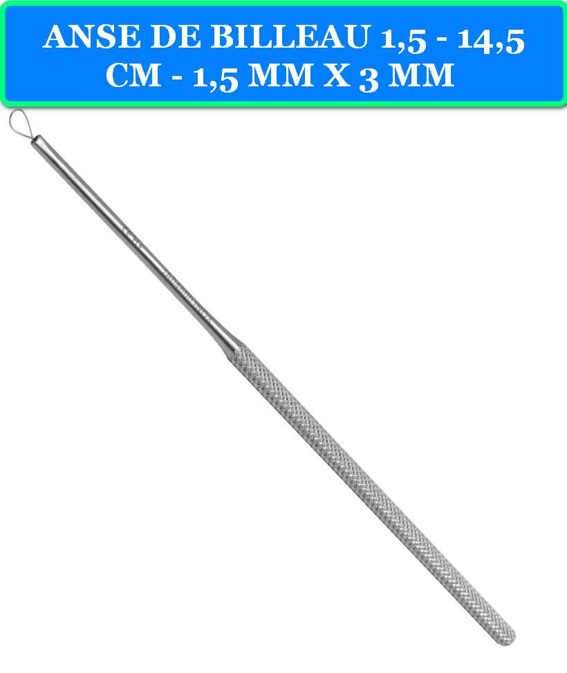 ANSE DE BILLEAU (CURETTE AURICULAIRE) 14,5 CM 2 ANSE DE BILLEAU 1,5 - 14,5 CM - 1,5 MM X 3 MM